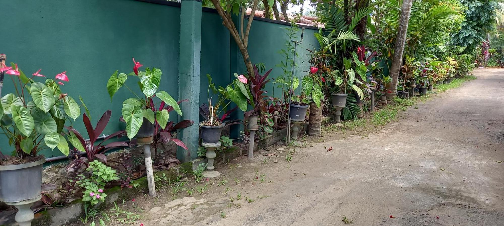 Nooit Gedacht Holiday Resort Unawatuna Buitenkant foto