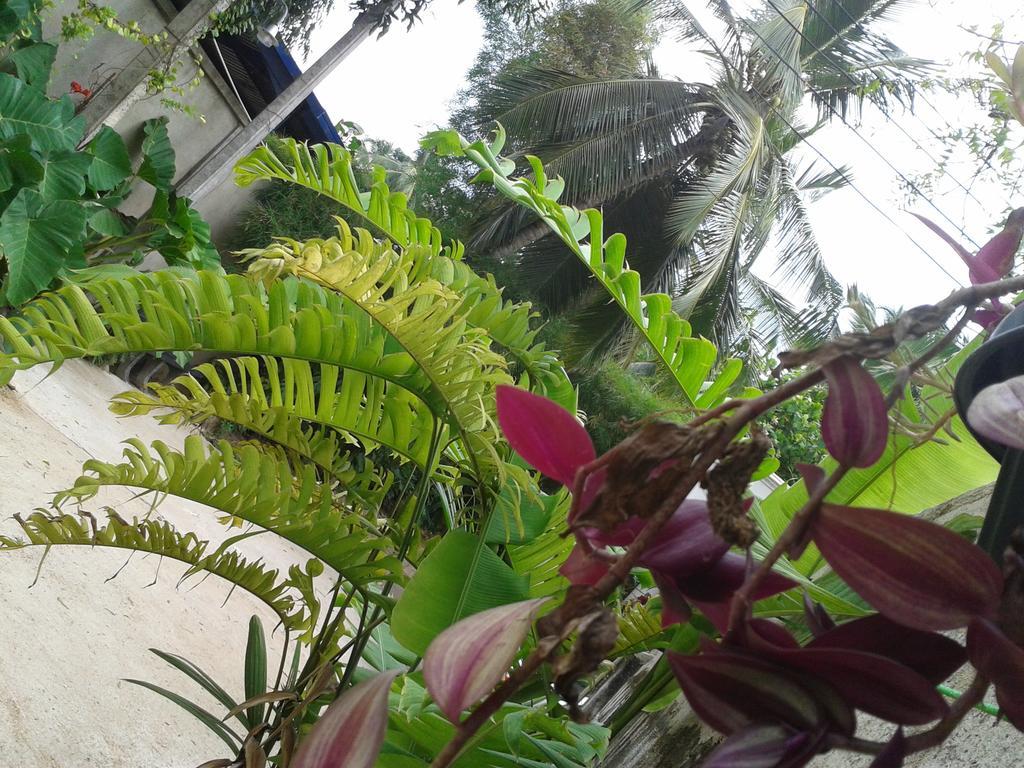 Nooit Gedacht Holiday Resort Unawatuna Buitenkant foto