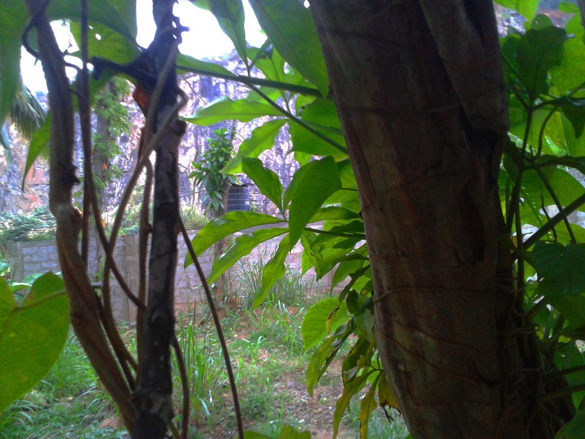 Nooit Gedacht Holiday Resort Unawatuna Buitenkant foto