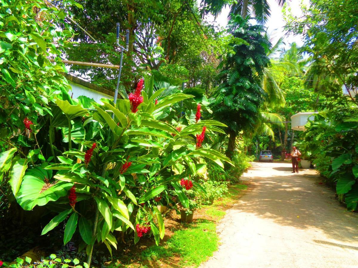 Nooit Gedacht Holiday Resort Unawatuna Buitenkant foto
