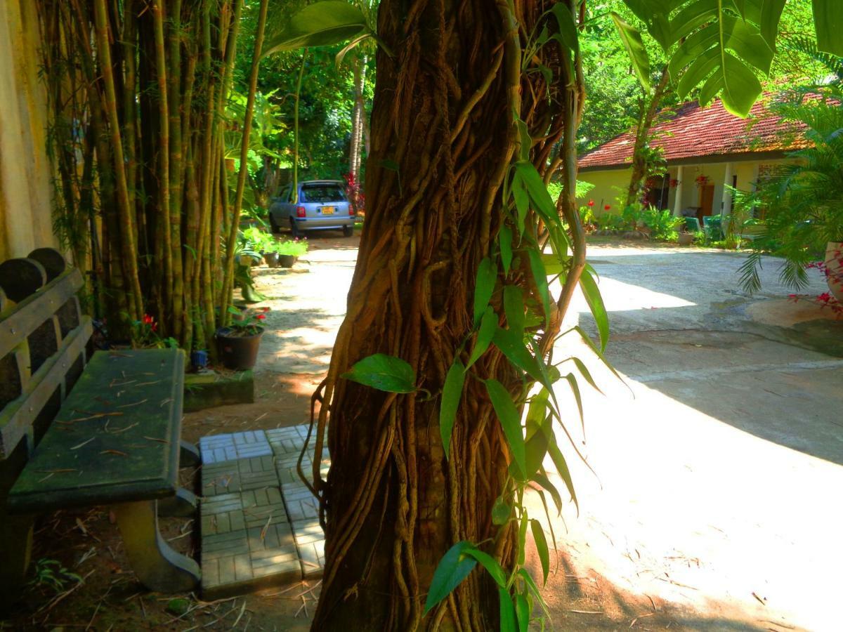 Nooit Gedacht Holiday Resort Unawatuna Buitenkant foto